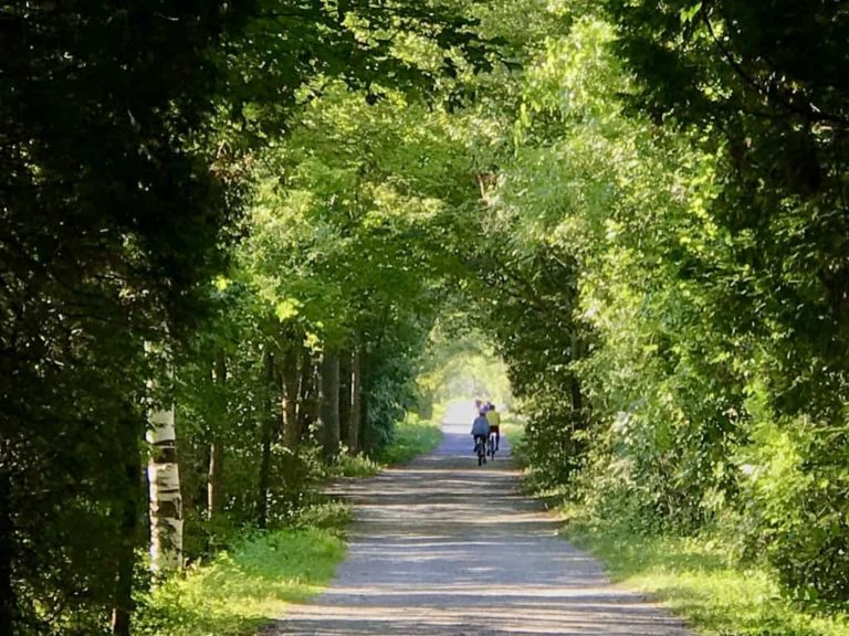 Catamount Condo Group Catamount Realty Group