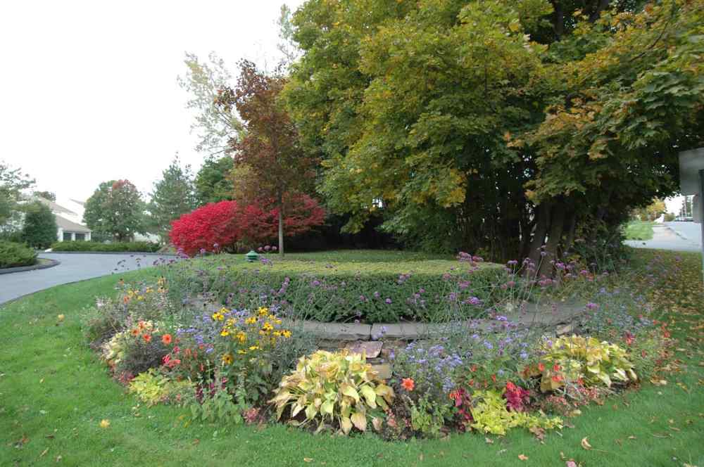 Overlake Condos